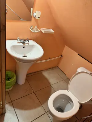 Отдельный туалет левого крыла