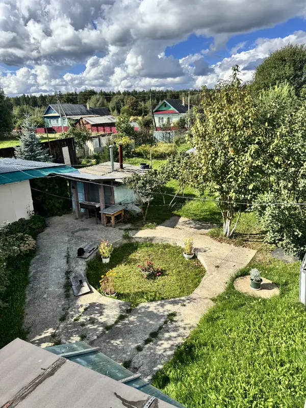 Панорамный вид на зелёный двор и сад